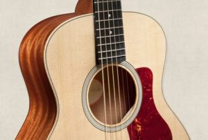 Review of the Taylor GS Mini