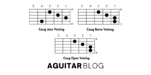 Chart of all Cmaj9 Guitar Chord